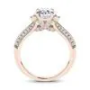 Anillo de Compromiso Delfín — Joyería Cáceres
