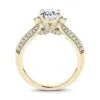Anillo de Compromiso Delfín — Joyería Cáceres