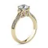Anillo de Compromiso Delfín — Joyería Cáceres