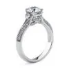 Anillo de Compromiso Delfín — Joyería Cáceres